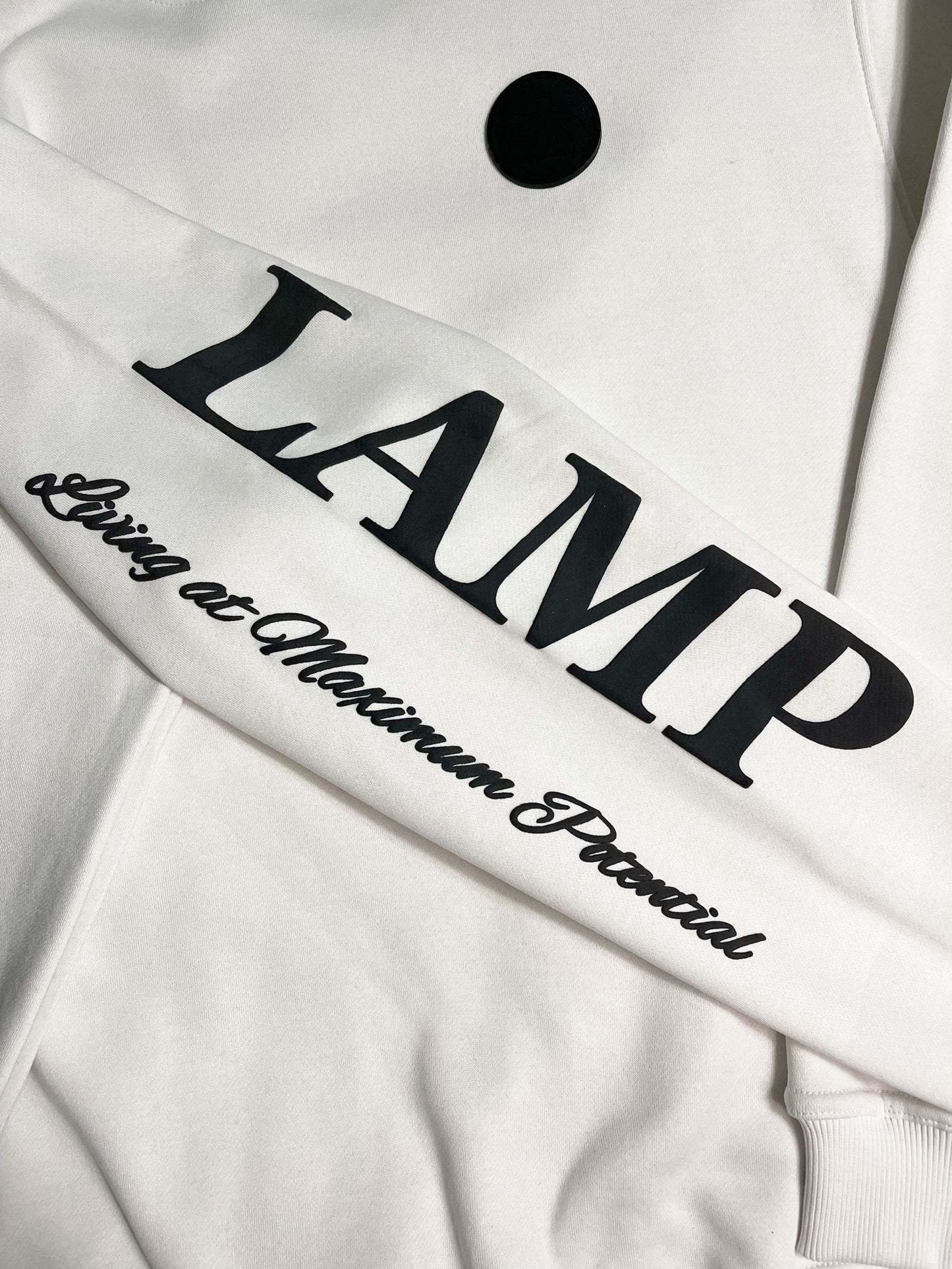 Premium Plush Hoodie-LAMP- Living at Maximum Potential